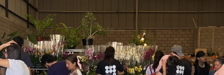 IMG_0081